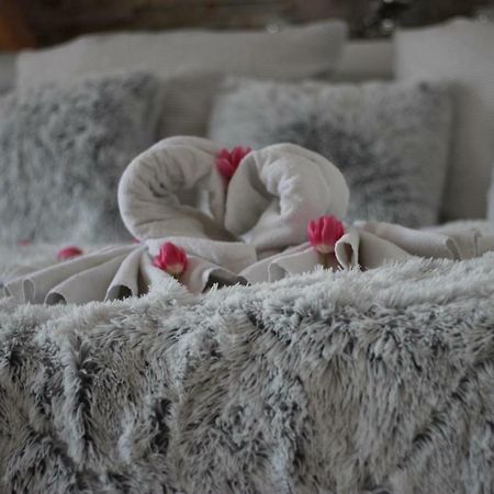 Romanticky Wellness Suite Hotel Heinz Dobris Bagian luar foto